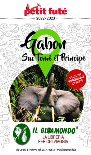 gabon-petit-9782305067971.jpg